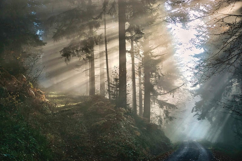 Mystical Invitations