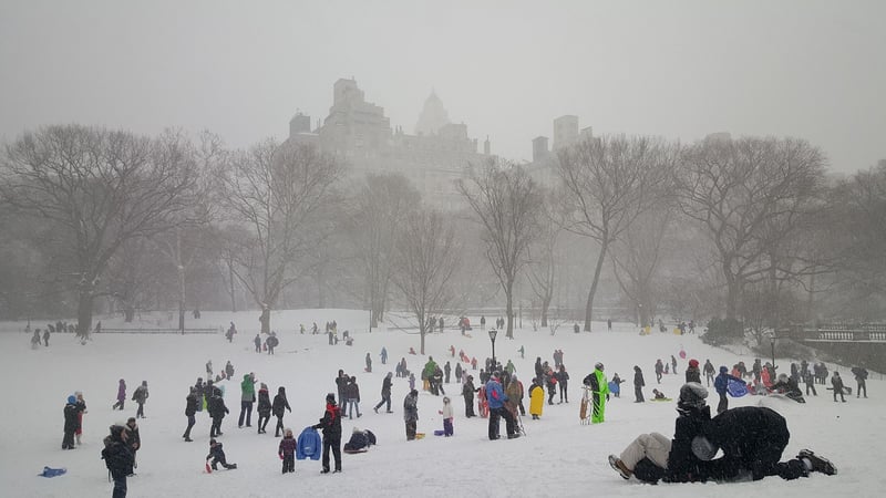 The Conservatory Garden, New York City